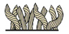 Continuous Filament Nylon