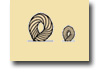 Looped
