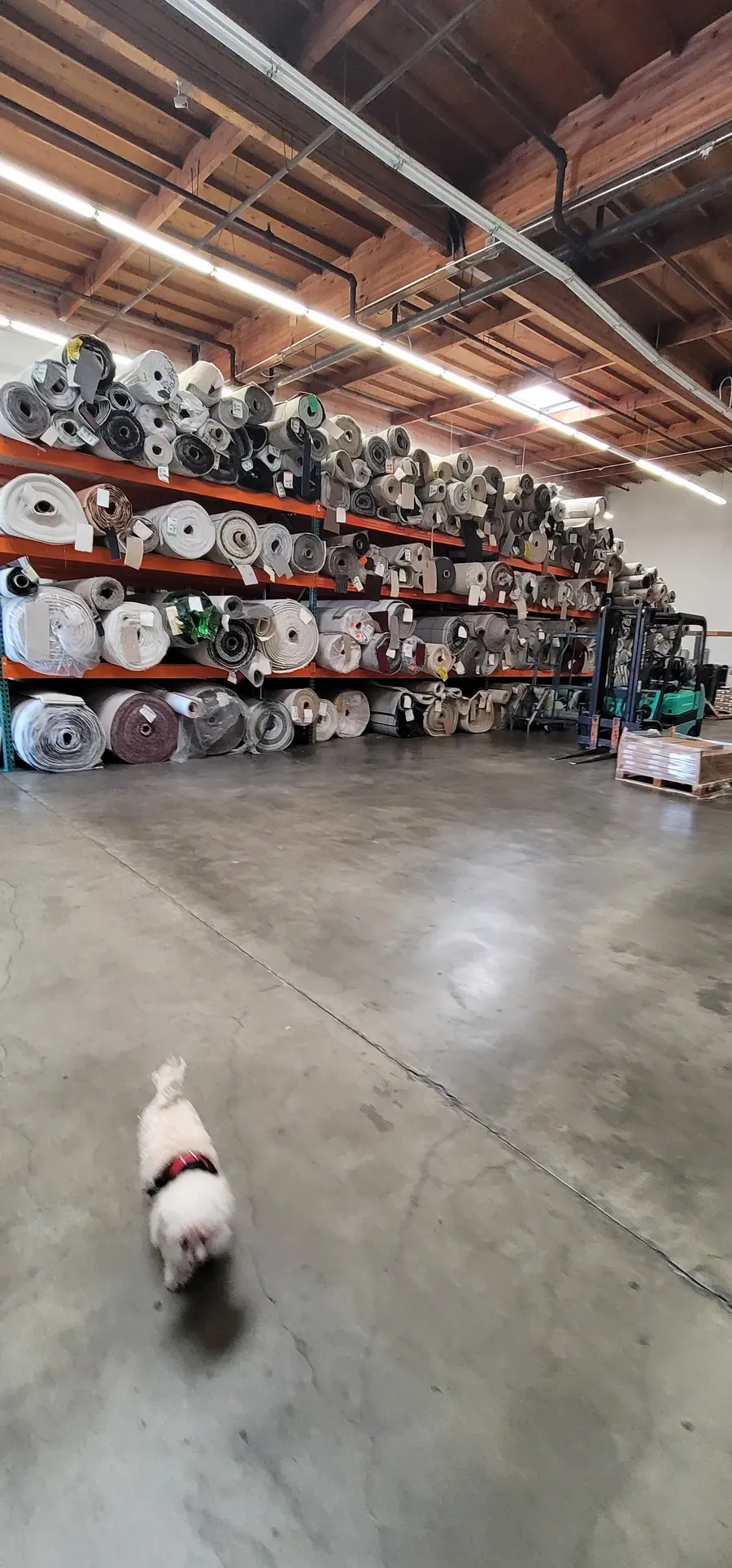 Gardena Warehouse & Showroom photo 3